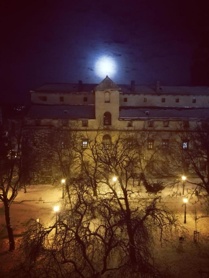The Heart Of Lviv Διαμέρισμα Εξωτερικό φωτογραφία