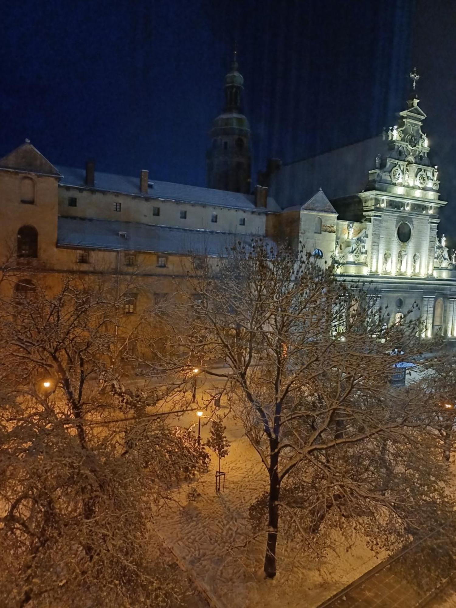 The Heart Of Lviv Διαμέρισμα Εξωτερικό φωτογραφία